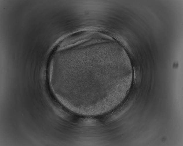 X0000101150348200807181340