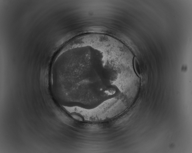 X0000101150349200807181340