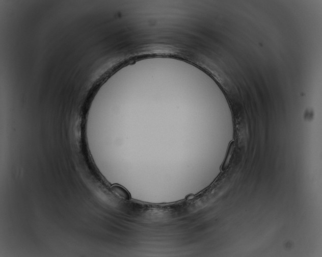 X0000101150350200807181340