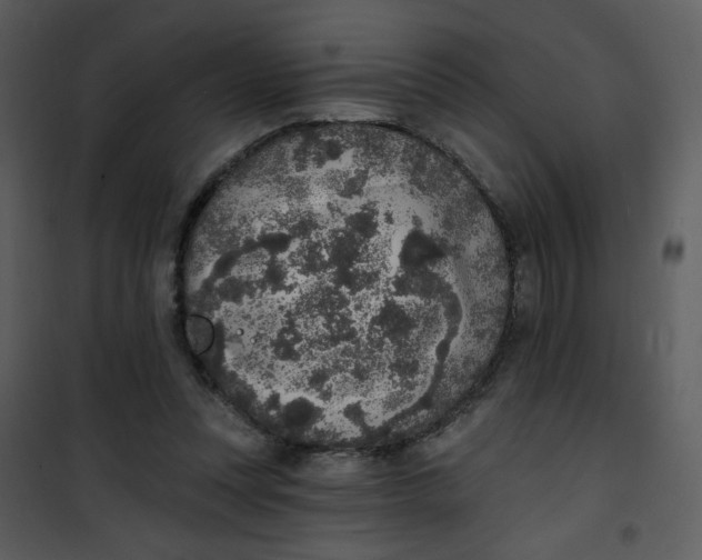 X0000101150351200807181340