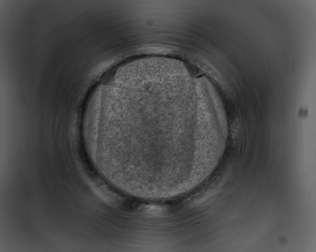 X0000101150352200807181340