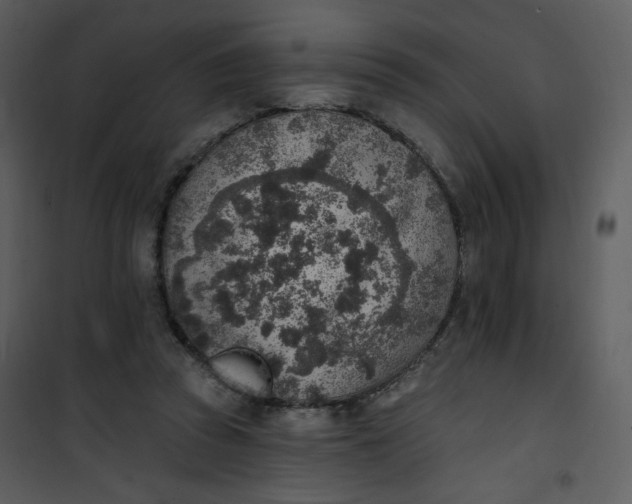 X0000101150353200807181340