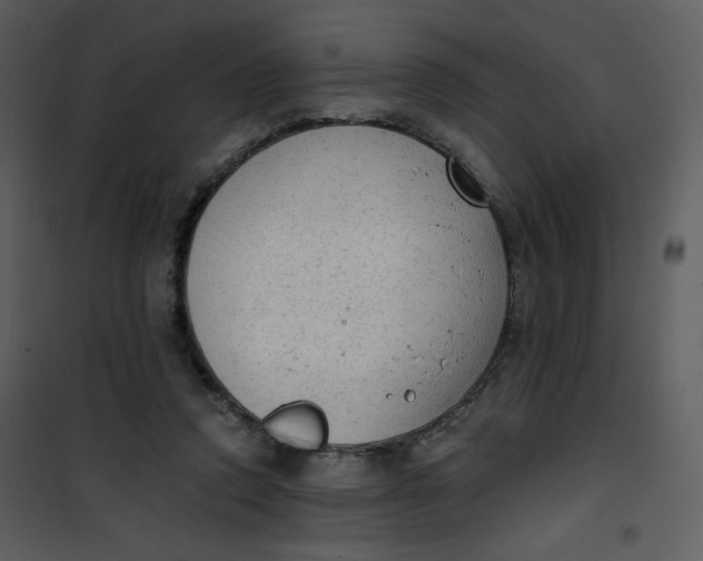 X0000101150354200807181340