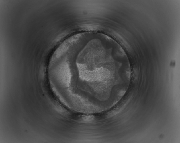 X0000101150355200807181340