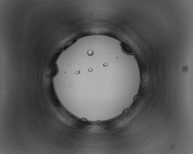 X0000101150356200807181340