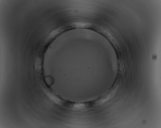 X0000101150357200807181340