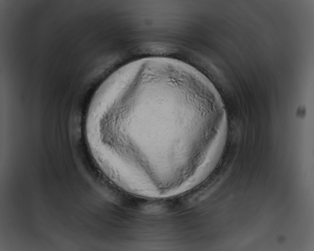 X0000101150358200807181340