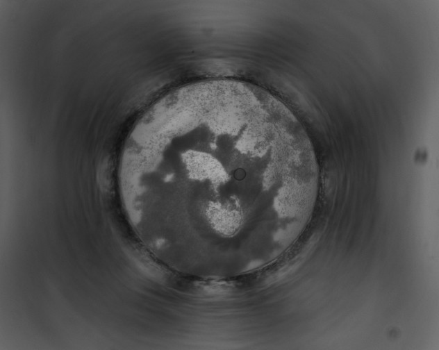 X0000101150359200807181340