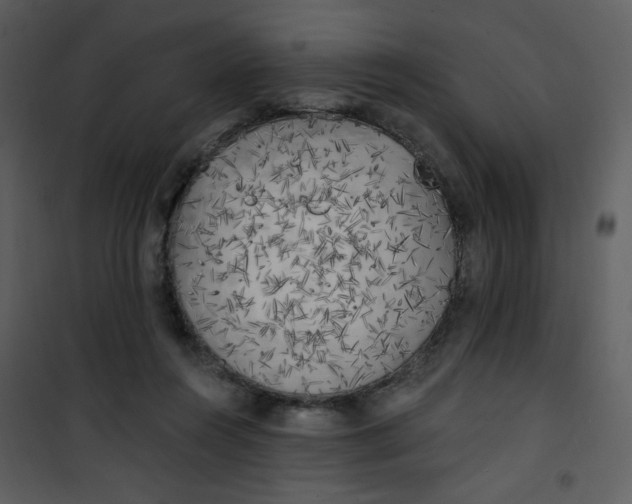 X0000101150360200807181340