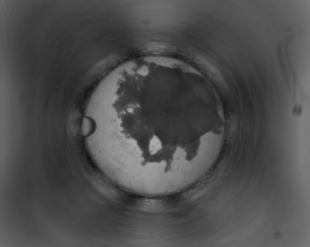 X0000101150361200807181340