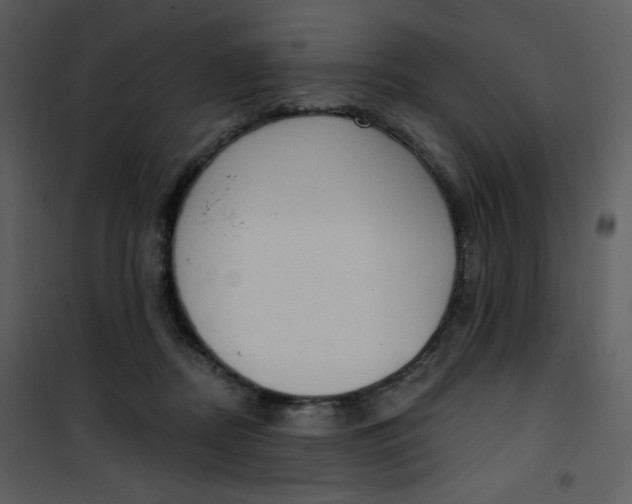 X0000101150362200807181340