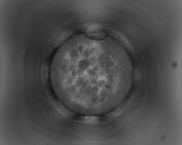 X0000101150363200807181340