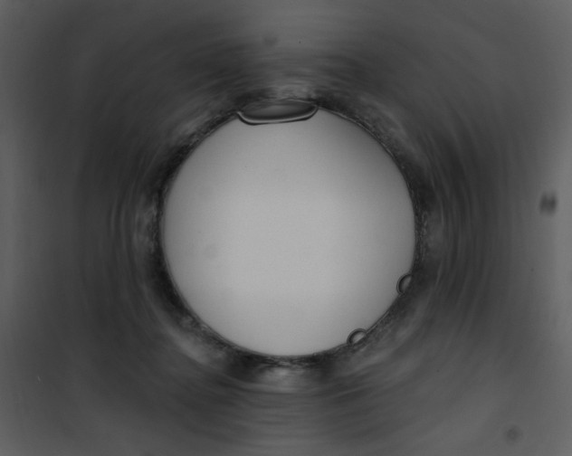 X0000101150364200807181340