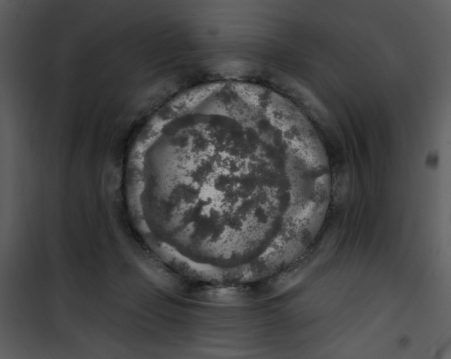 X0000101150365200807181340