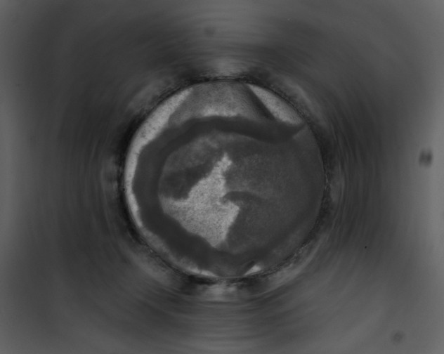 X0000101150366200807181340