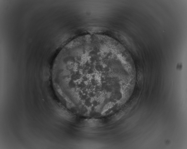 X0000101150367200807181340