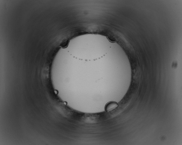 X0000101150368200807181340