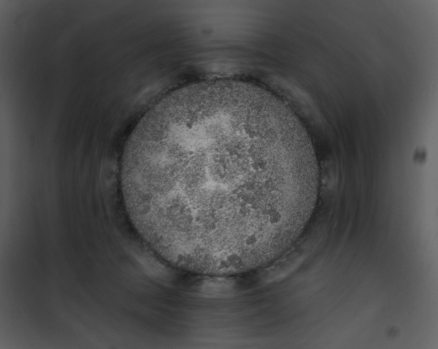 X0000101150369200807181340