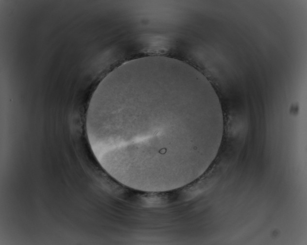 X0000101150370200807181340