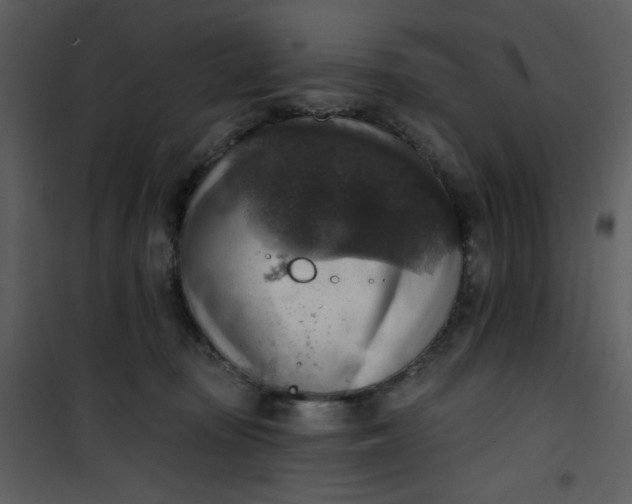 X0000101150371200807181340