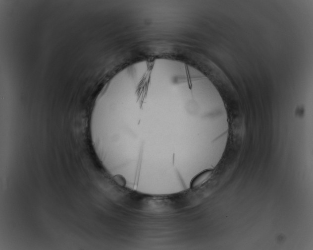 X0000101150372200807181340