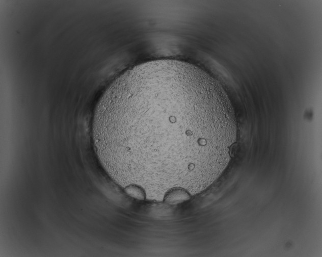 X0000101150373200807181340