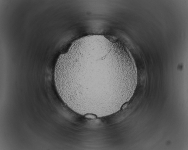 X0000101150374200807181340