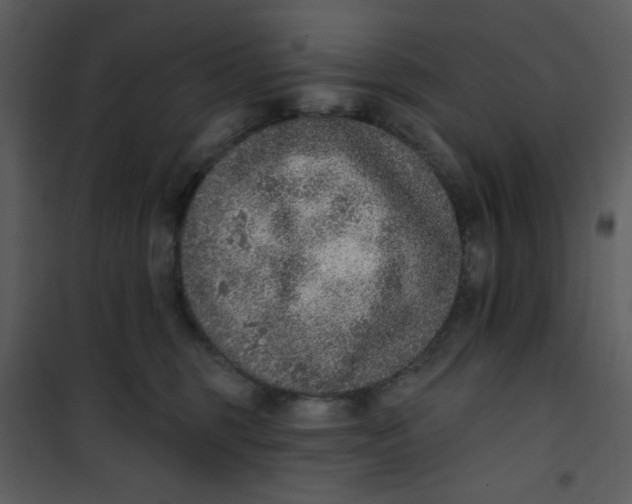 X0000101150375200807181340