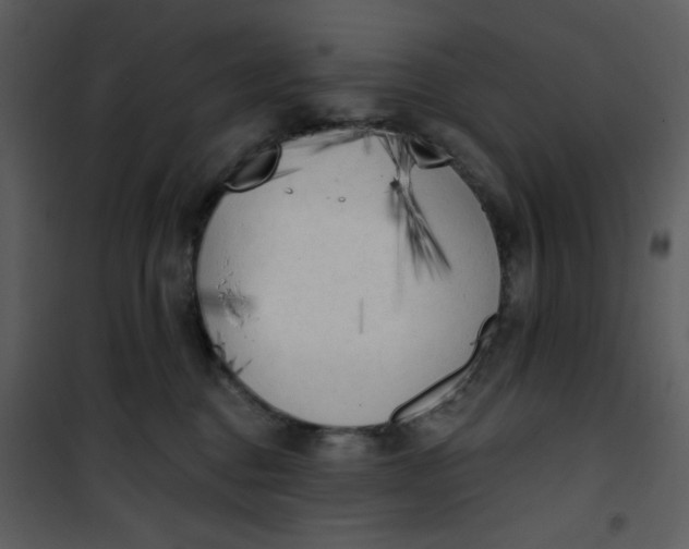 X0000101150376200807181340