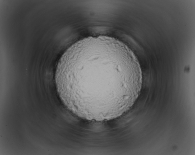 X0000101150377200807181340