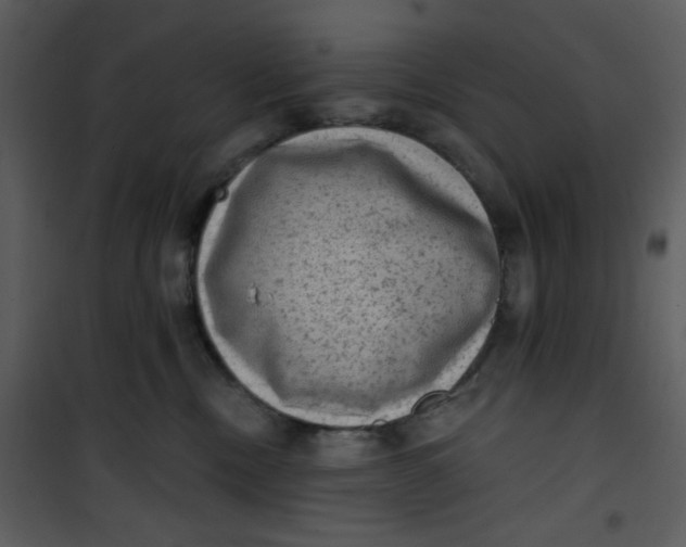 X0000101150378200807181340