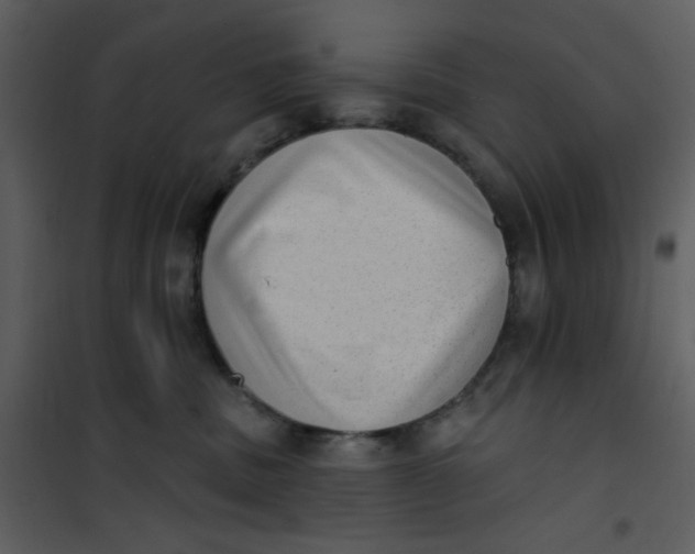 X0000101150379200807181340