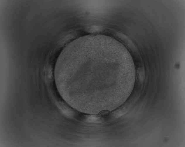 X0000101150380200807181340