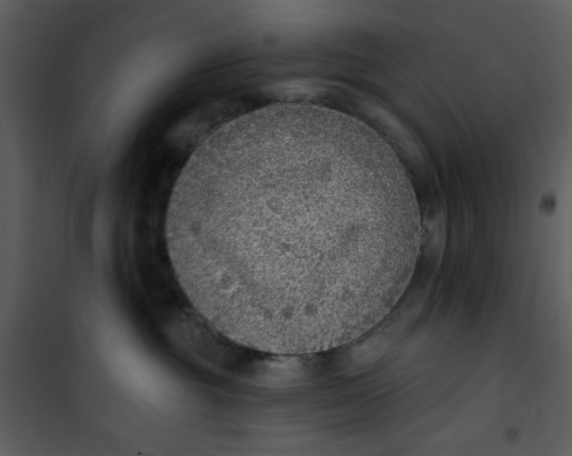 X0000101150381200807181340