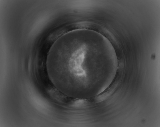 X0000101150382200807181340