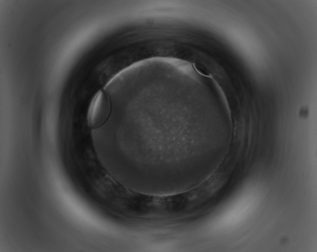 X0000101150383200807181340