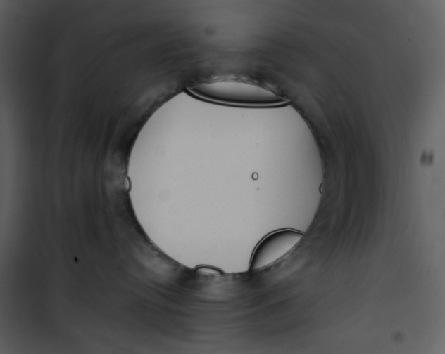 X0000101150384200807181340