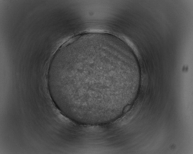 X0000101150385200807181340