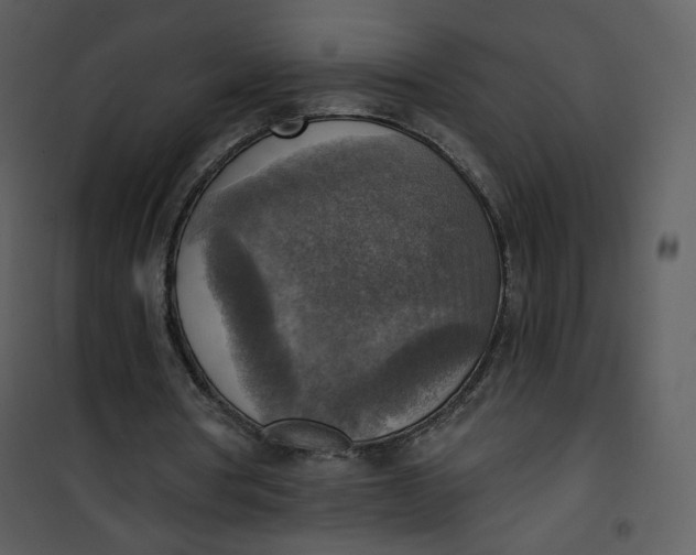 X0000101150386200807181340