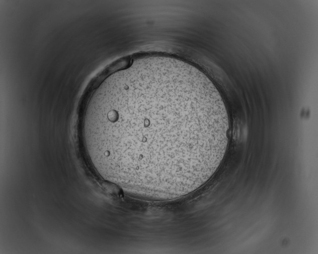 X0000101150388200807181340