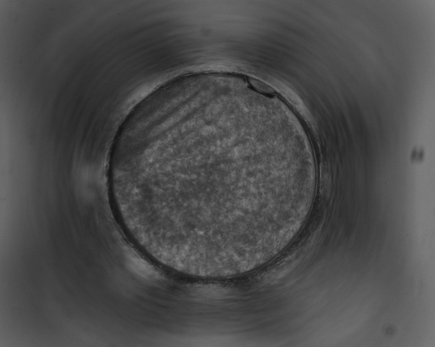 X0000101150389200807181340