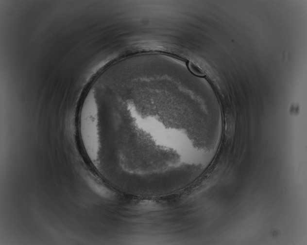 X0000101150390200807181340