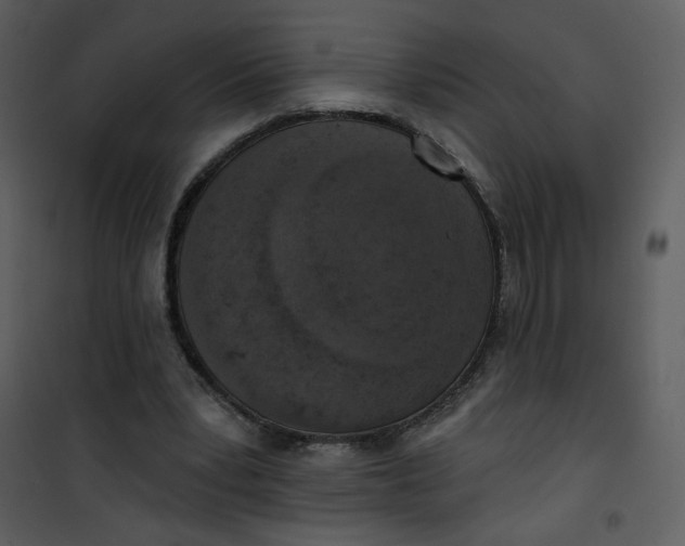 X0000101150391200807181340