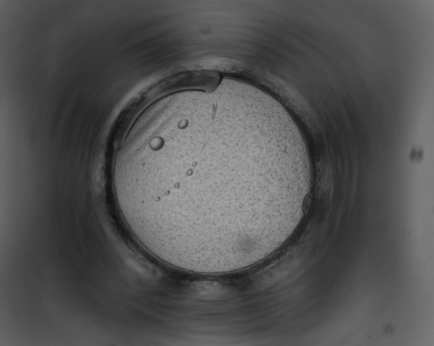 X0000101150392200807181340