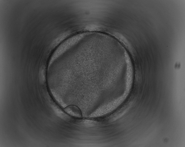 X0000101150393200807181340