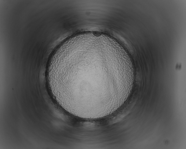 X0000101150394200807181340