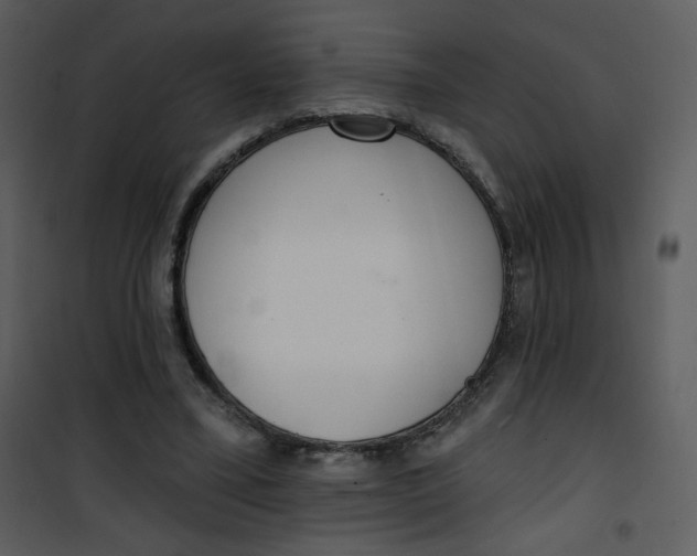 X0000101150395200807181340