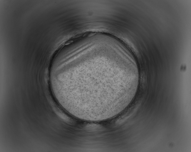 X0000101150397200807181339