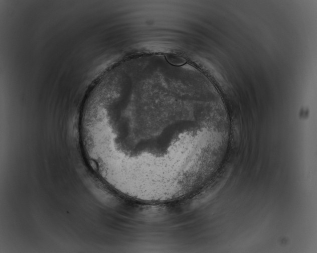 X0000101150398200807181339