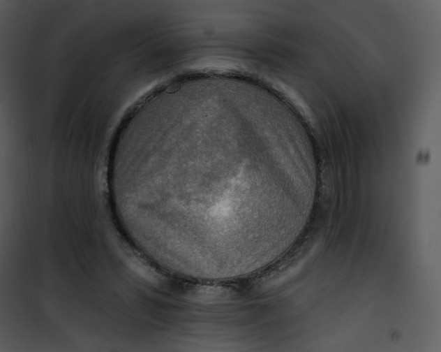 X0000101150399200807181339